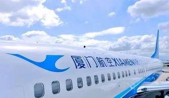 厦航空姐爆料事件视频,揭秘幕后真相与行业隐忧  第1张